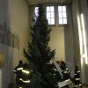 Christbaumaufstellen 2016 29